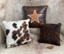 Load image into Gallery viewer, Pillows - Star and Brindle